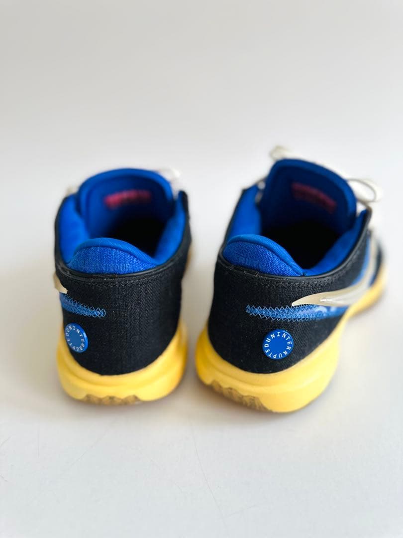 シューズ(男性用) Nike LEBRON XX UN EP 24.5cm