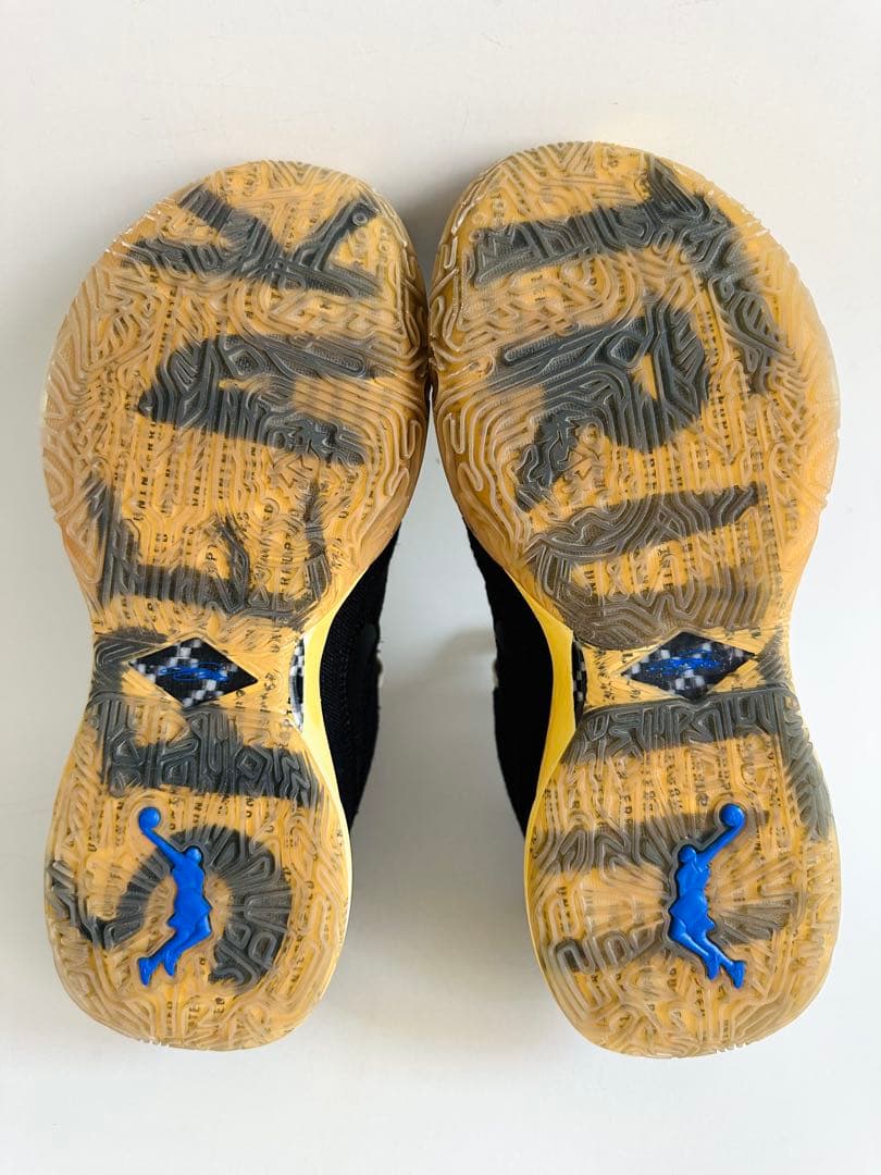 シューズ(男性用) Nike LEBRON XX UN EP 24.5cm