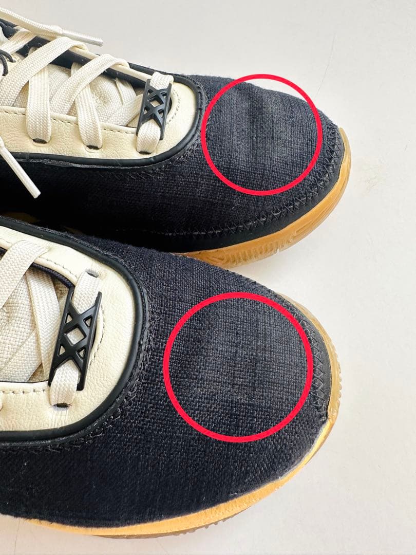 シューズ(男性用) Nike LEBRON XX UN EP 24.5cm