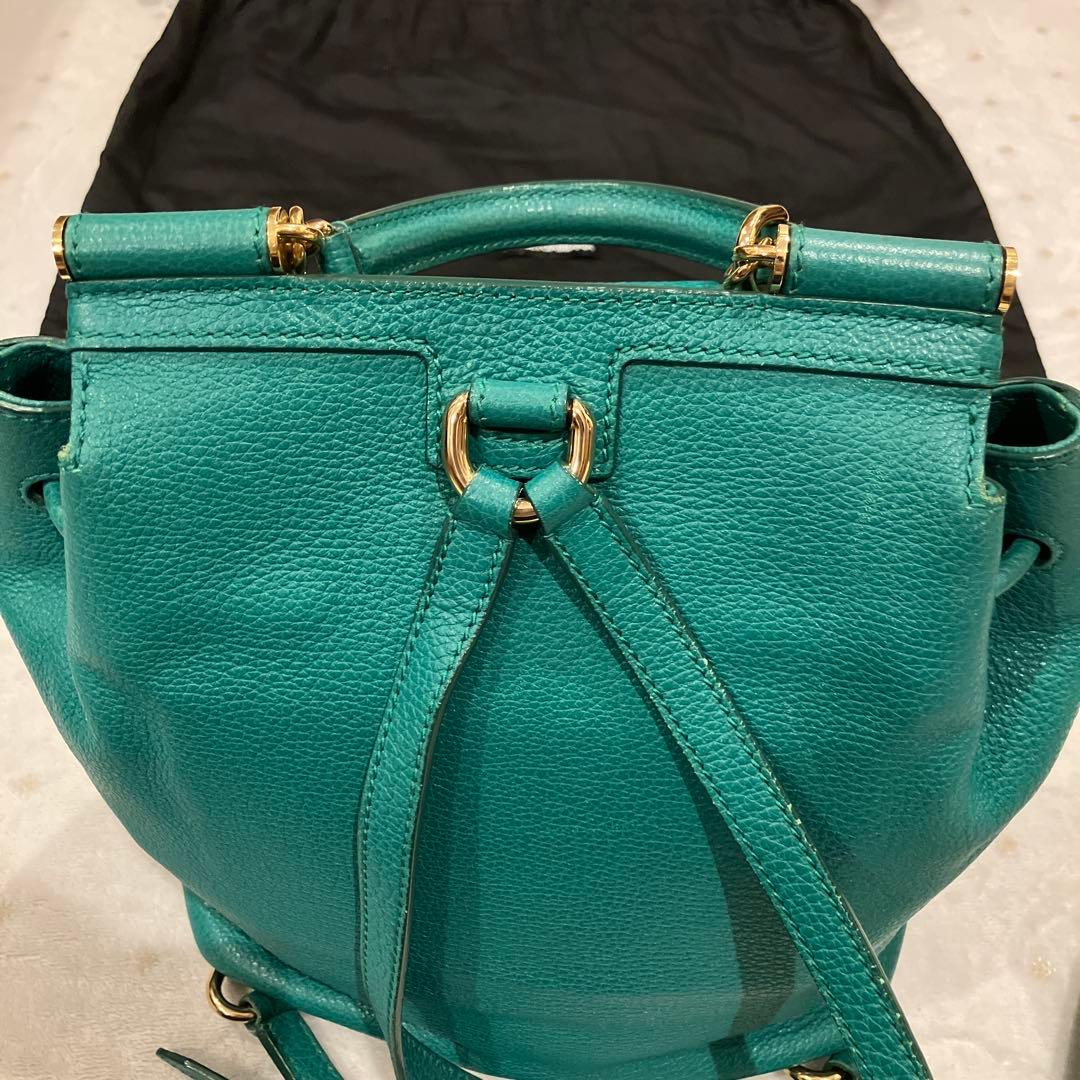 ドルバガ　グリーン　リュック　リアルレザー　袋付き