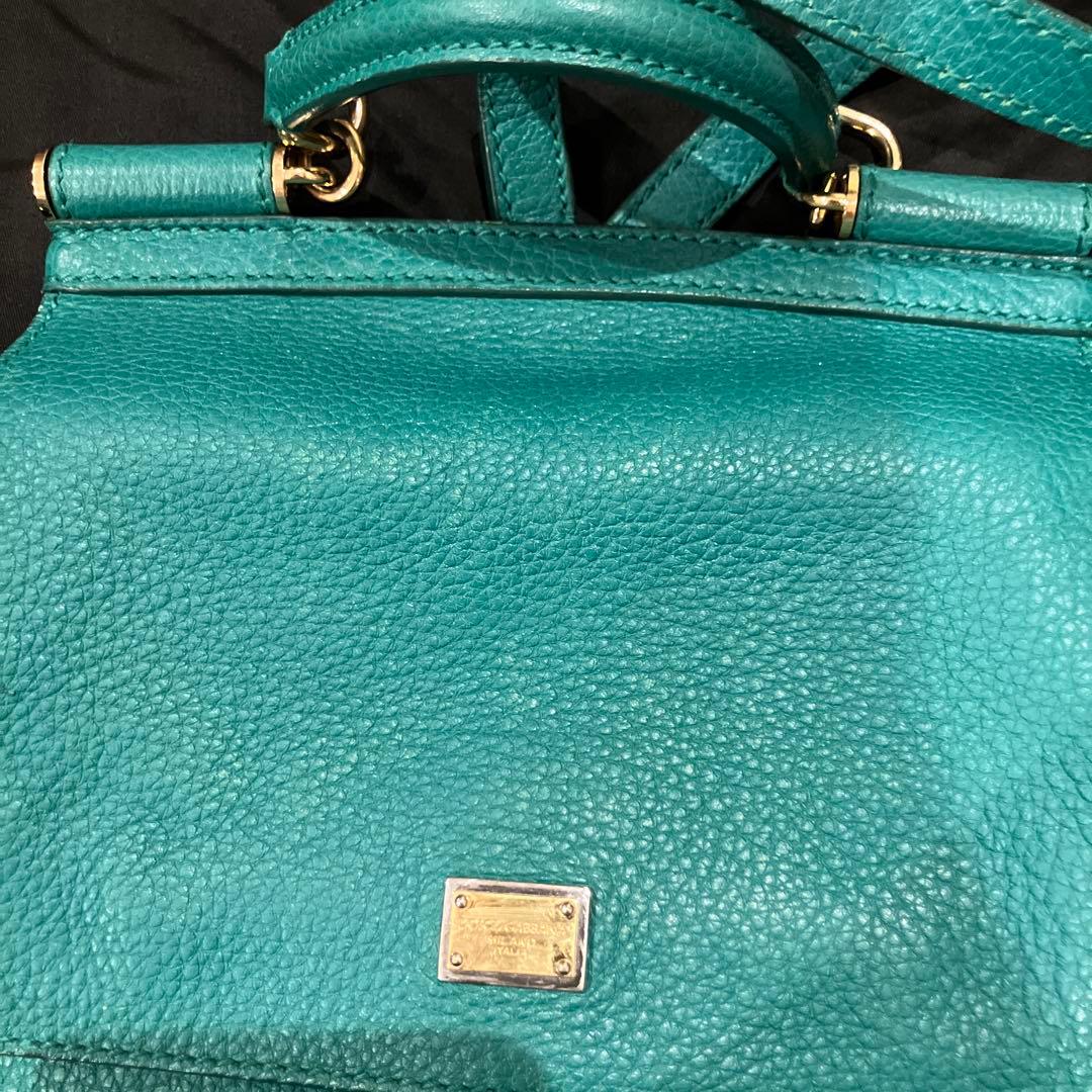 ドルバガ　グリーン　リュック　リアルレザー　袋付き