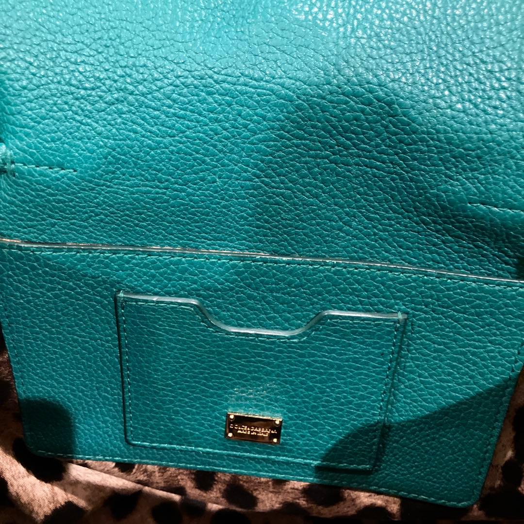 ドルバガ　グリーン　リュック　リアルレザー　袋付き