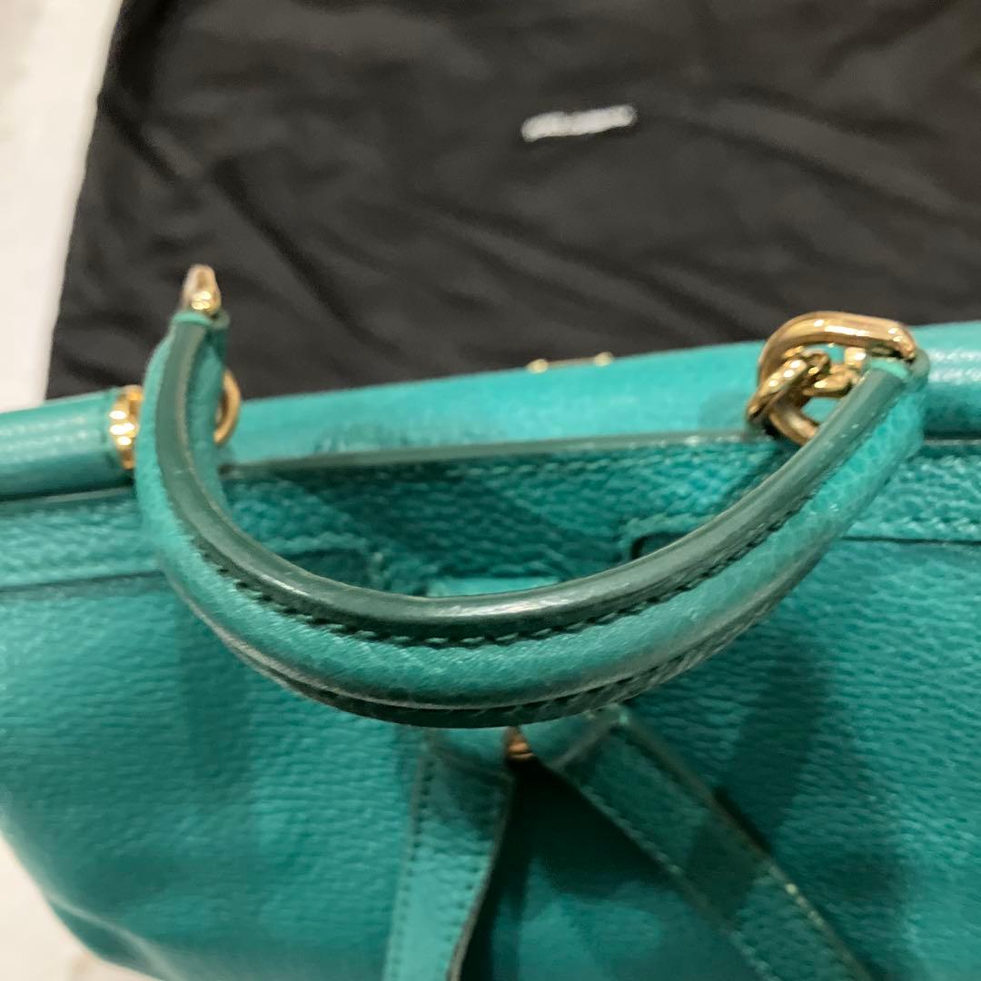 ドルバガ　グリーン　リュック　リアルレザー　袋付き