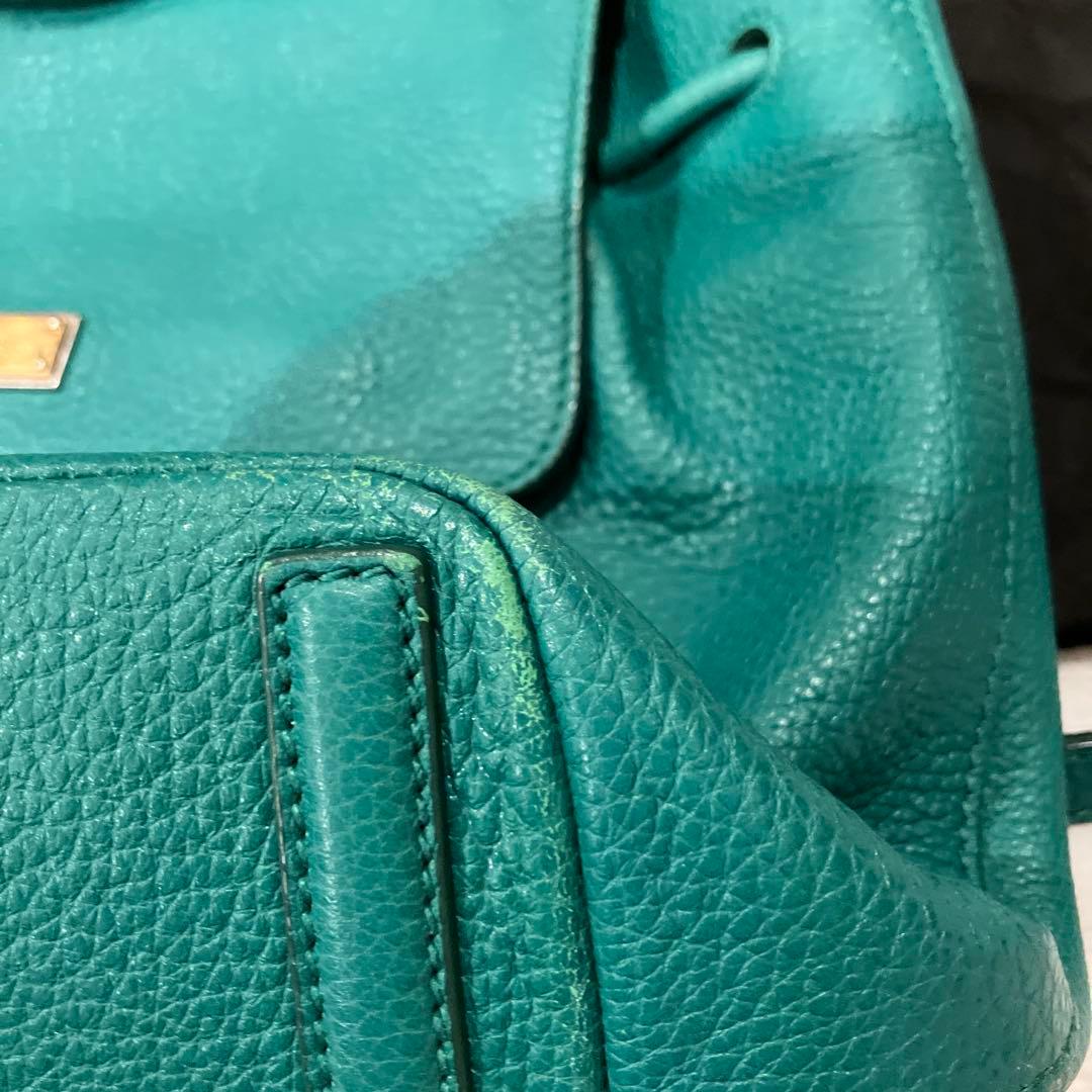 ドルバガ　グリーン　リュック　リアルレザー　袋付き