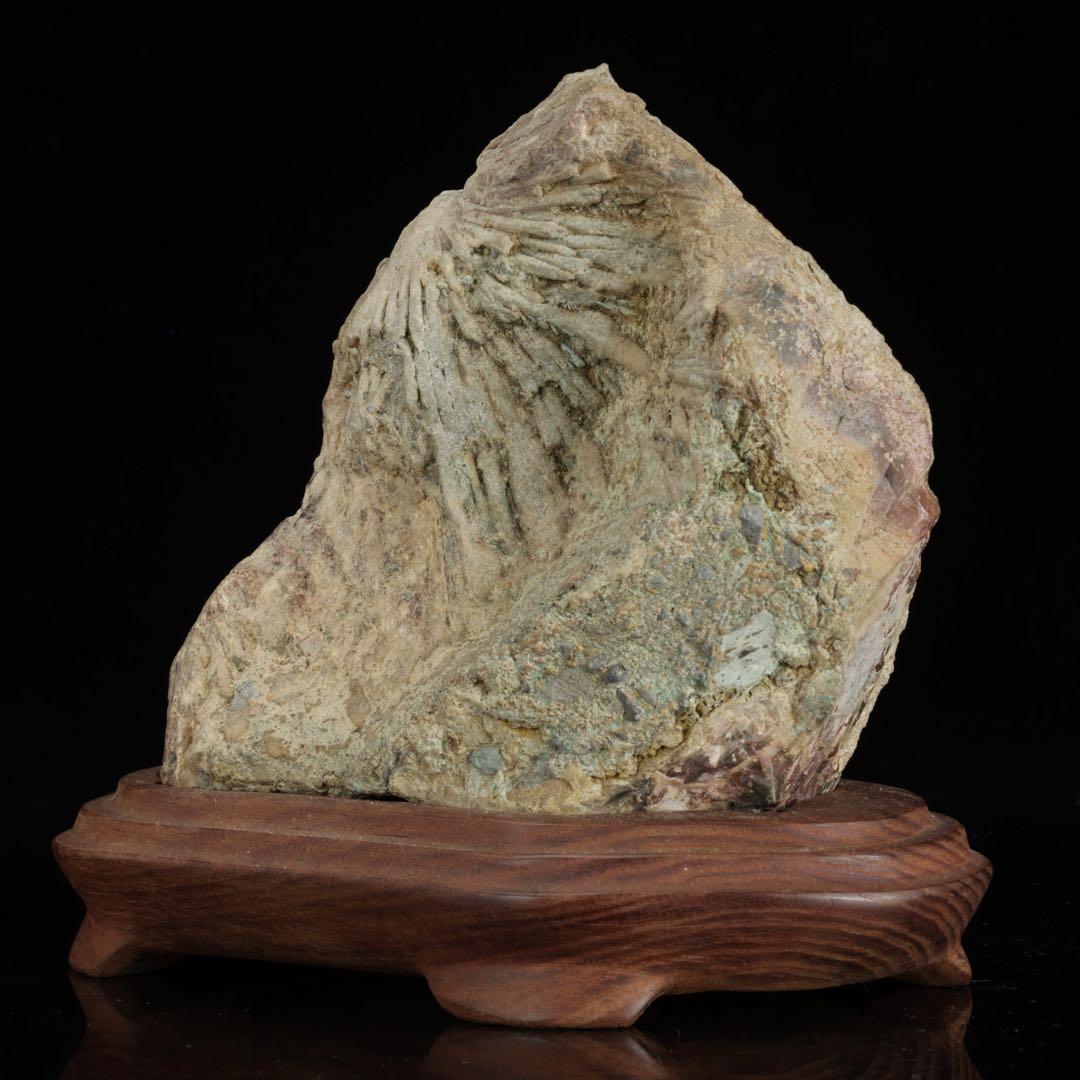 菊花石 紋石 一輪 台座付 1.4kg 鑑賞石 原石 自然石 盆石 飾石