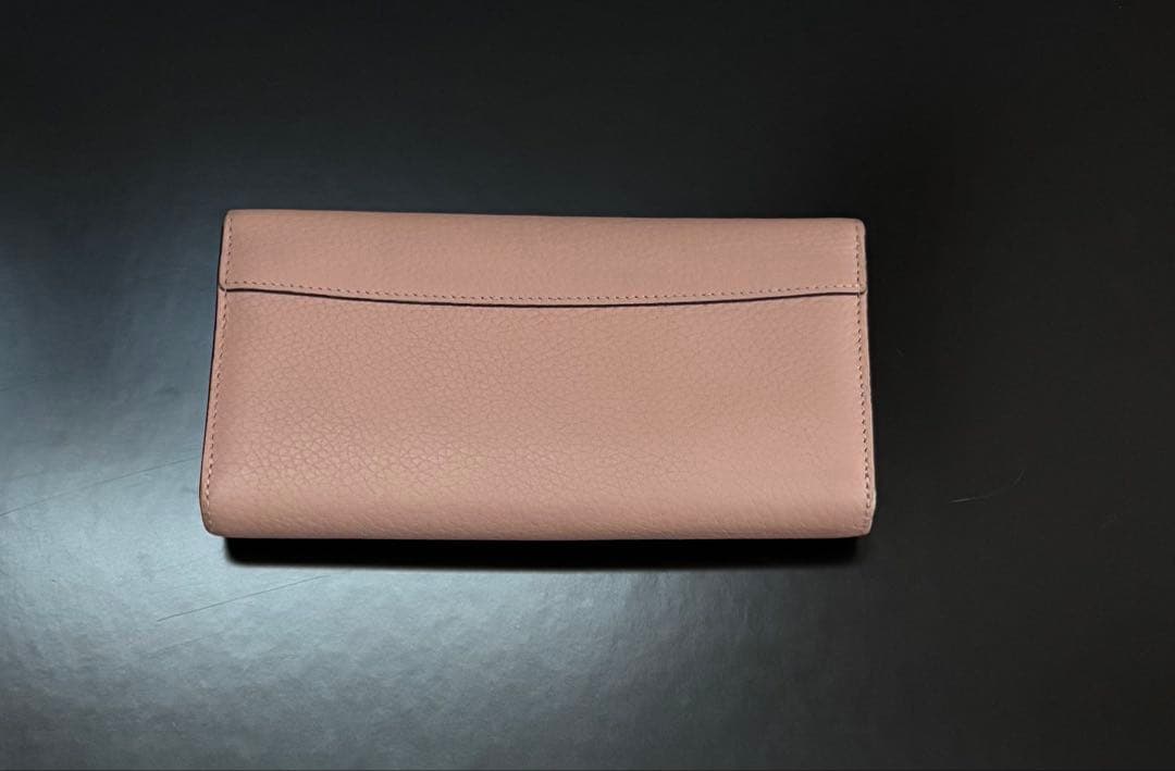 【美品】ルイヴィトン ポルトフォイユ・カプシーヌ ガレ 長財布