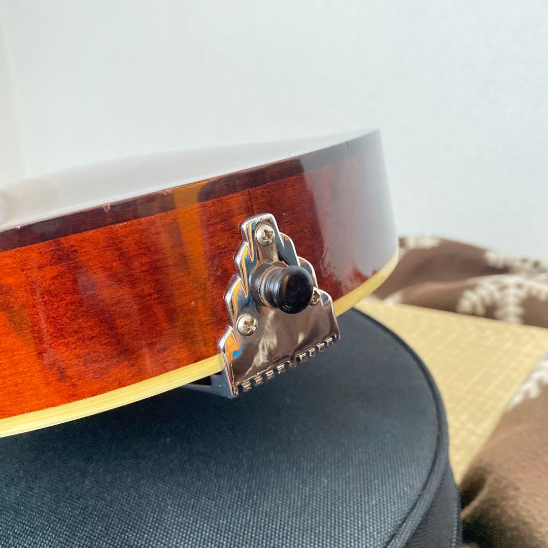 Eastman MD-505/A.Red フラットマンドリン メンテナンス前提で