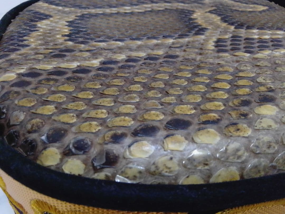 沖縄三線 本皮 強化張り 蛇皮 バッグ付 琉球 和楽器 本体