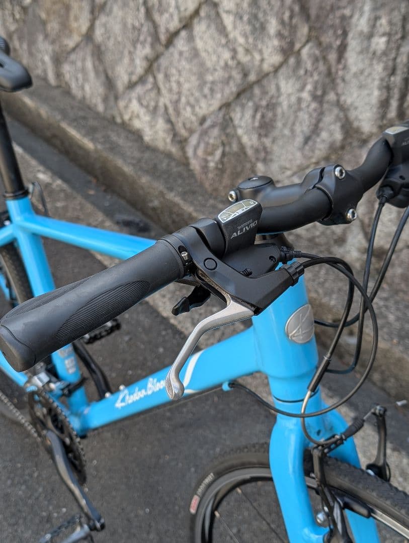 【もっと評価されるべきクロスバイク】コーダーブルームRAIL 440サイズ