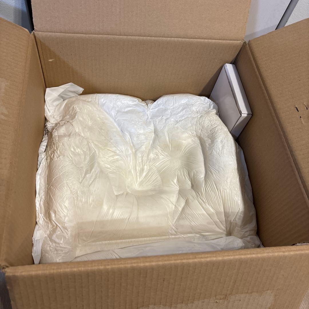 リアドロ　世界で3500体の白馬