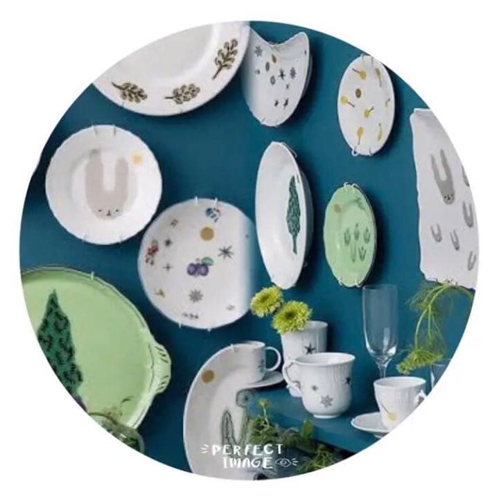 リチャードジノリ× mina perhonen 食器