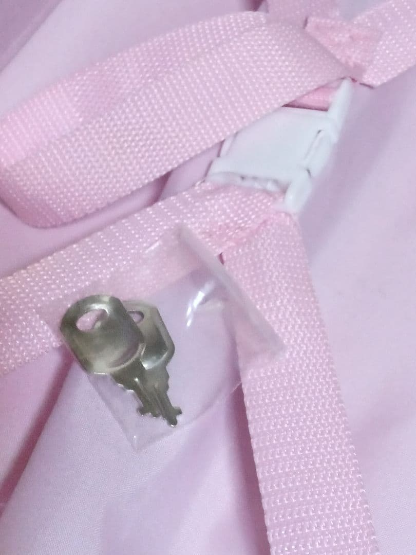 【タグ付】ハローキティチャーミーキティ　キャリアケース　カギ付　トランクベルト付