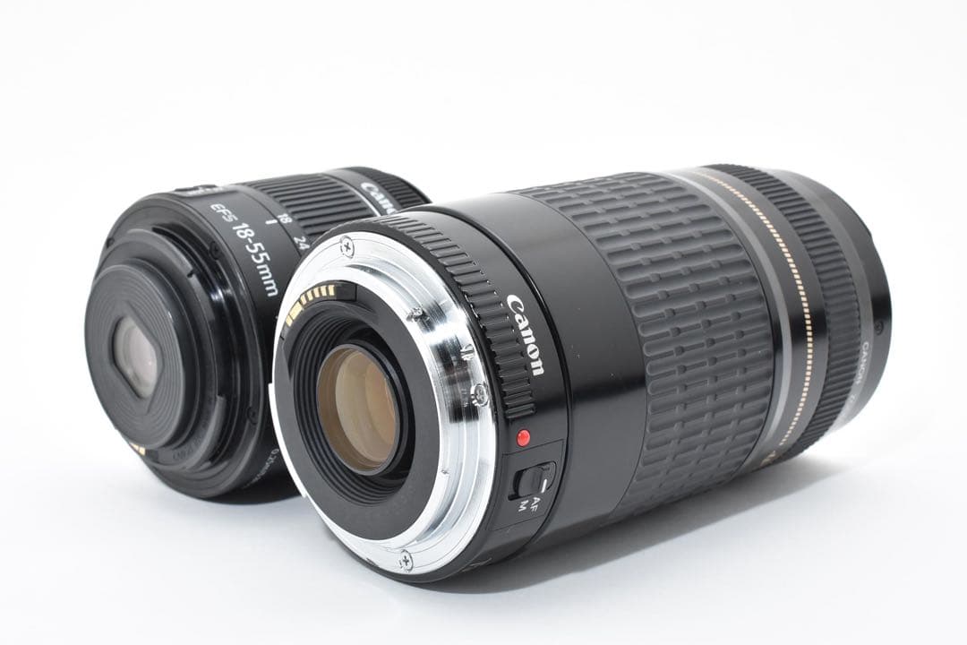 一眼レフカメラ/Canon EOS Kiss X10標準&望遠ダブルレンズセット