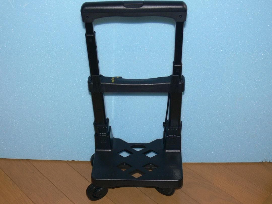 超美品・スワニー キャリー・エマイロ