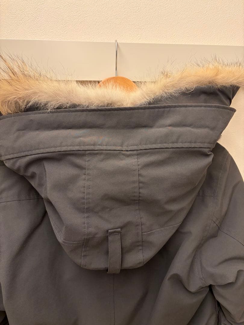  （カナダグース）ジャスパー