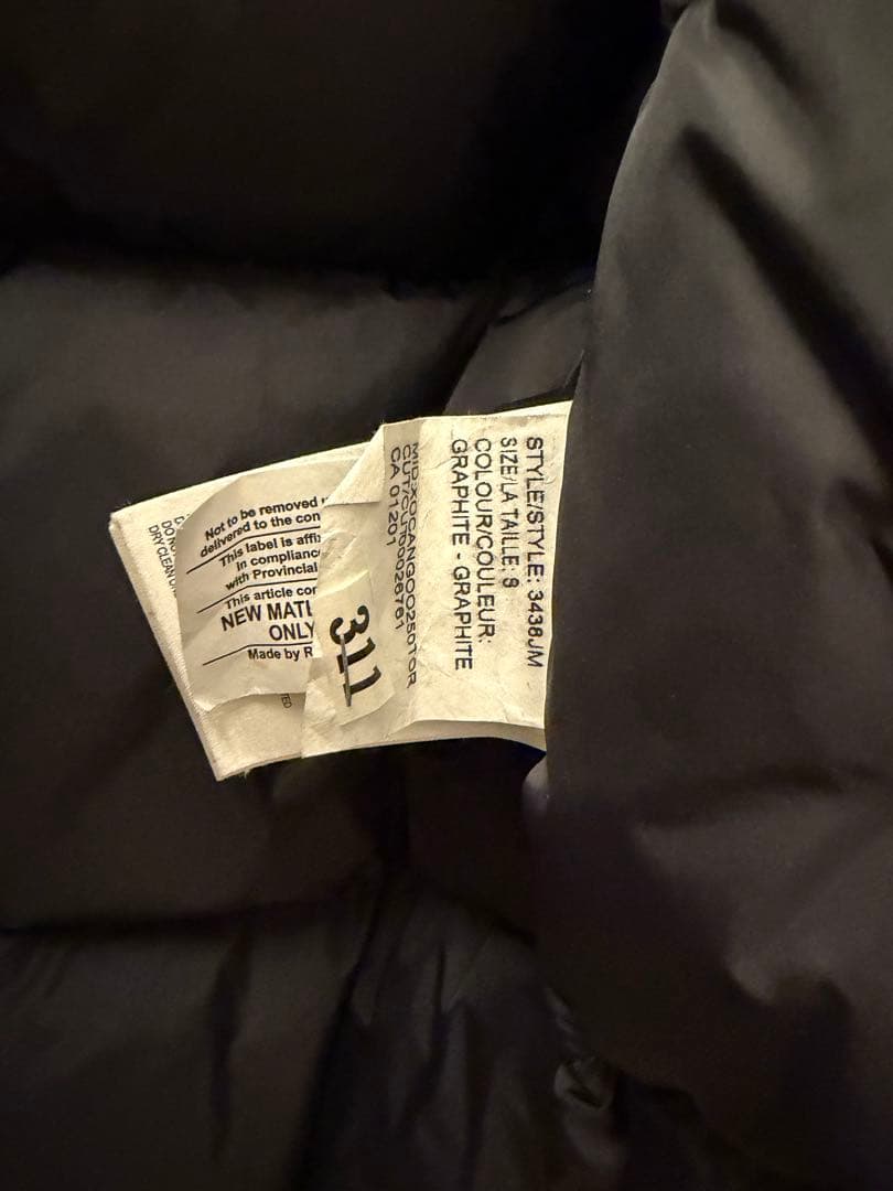  （カナダグース）ジャスパー