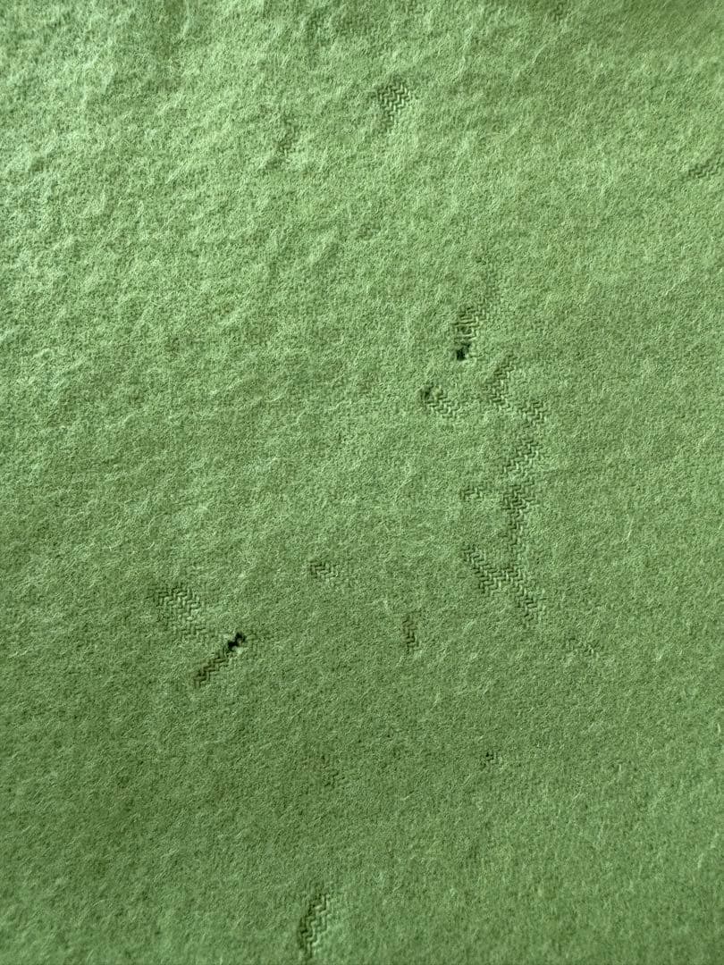 エルメス　カシミヤ　100% ライトグリーン フリンジ付きマフラー