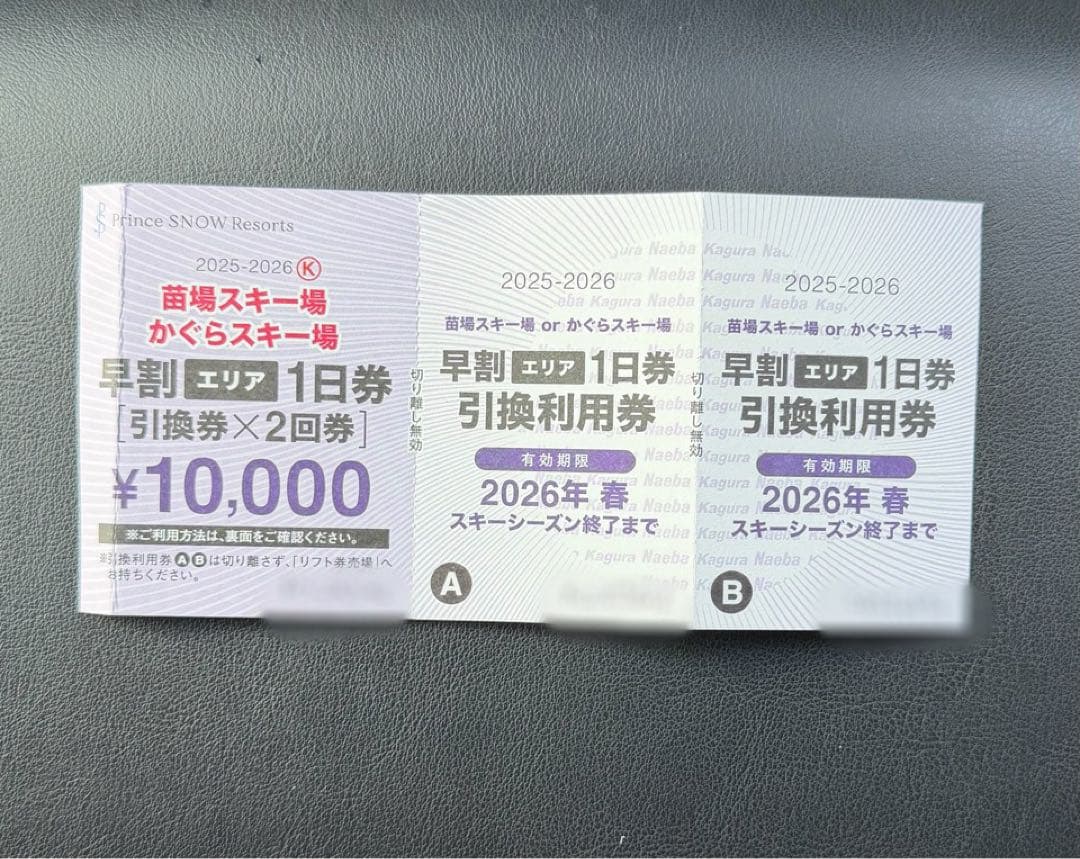 苗場スキー場 かぐらスキー場 早割エリア1日券 引換券×2回 - メルカリ