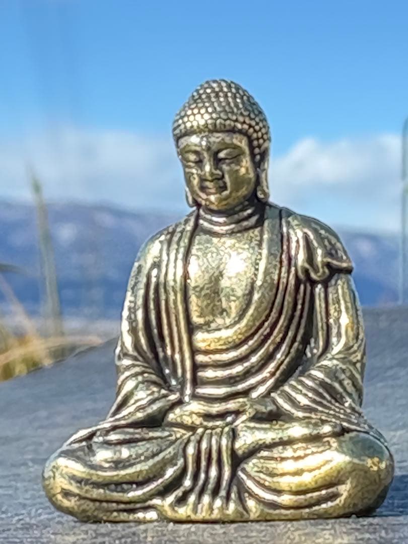 ❗️✳️超レア　❤️*天然形 極みの逸品 夜郎・古銅石 寺　貴州産 2.4kg