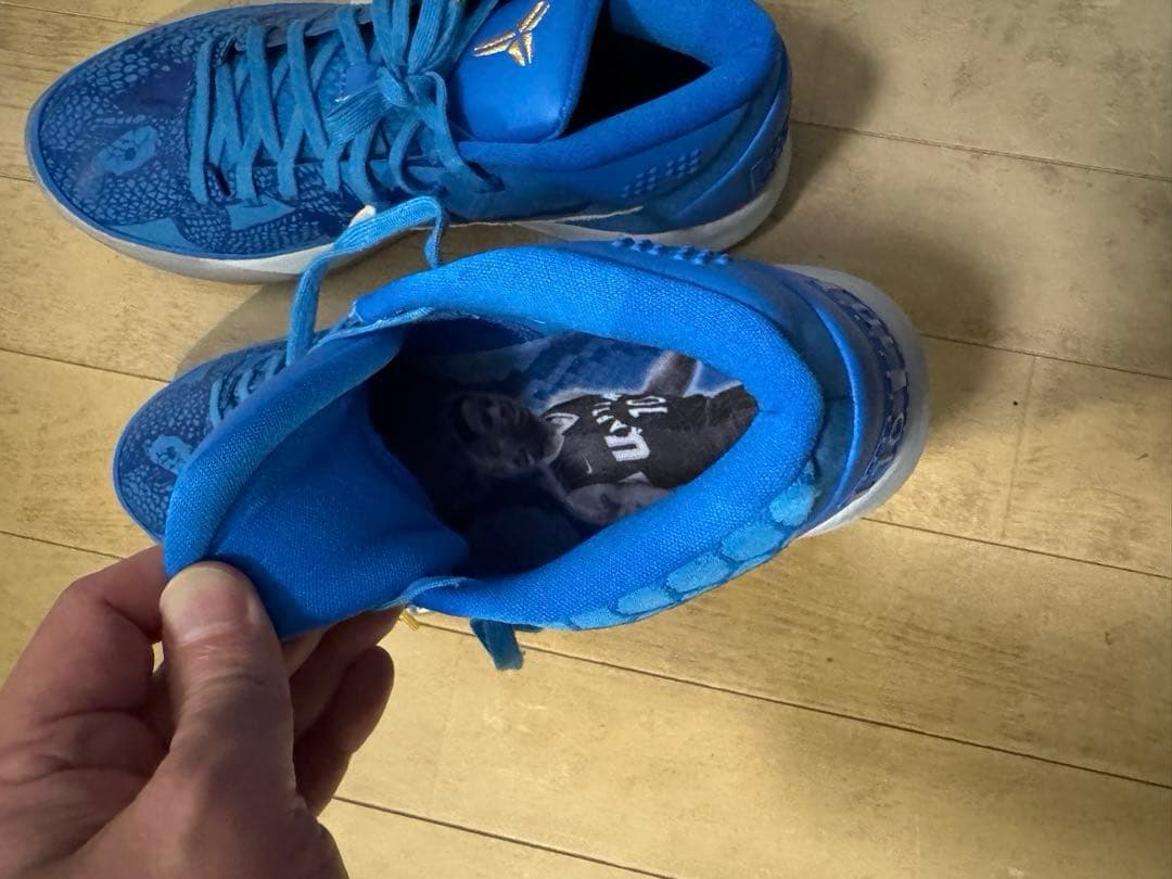 Nike KOBE AD DEROZAN PE US8.5初期モデル