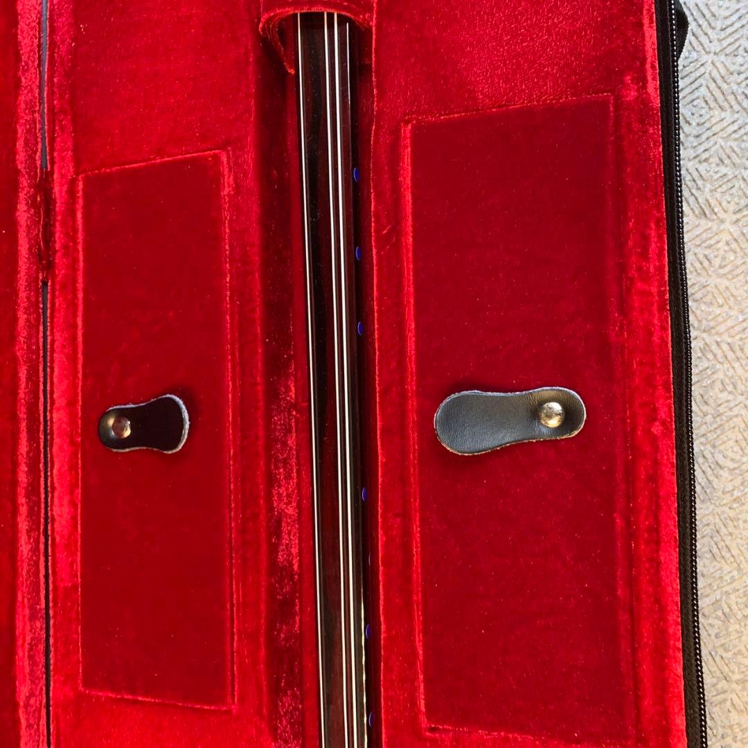 G269 沖縄 三味線 本体 ヘビ柄 専用ケース付き