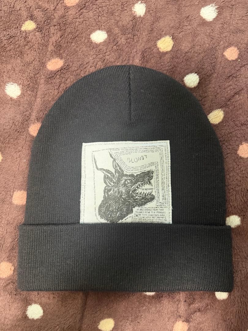 Supreme ノースフェイス　レイモンドペティボン　トリプルコラボ　ビーニー