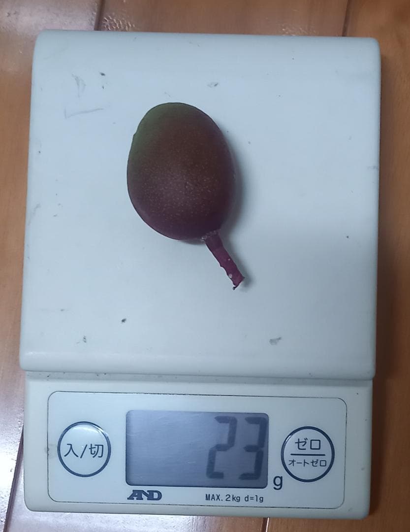 マンゴー+摘果 / 22 kg including box