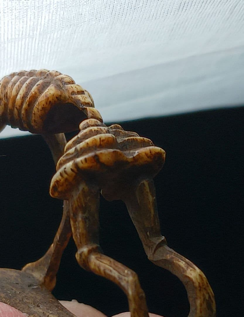 X115-7 江戸期 魂骸骨根付 ガイコツ 根付 提物　ひ