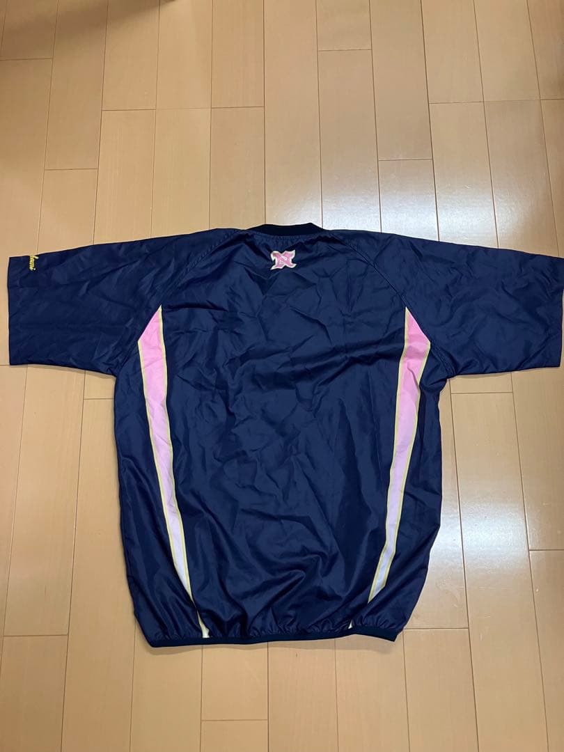 日本大学　系列　実使用　支給　レワード　野球　女子野球　ユニフォーム