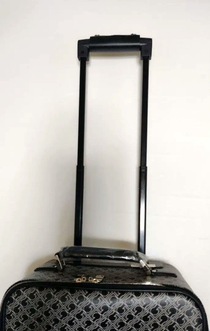 GHERARDINI　ゲラルディーニ　キャリーバッグ　ブラック　タグ付　バッグ