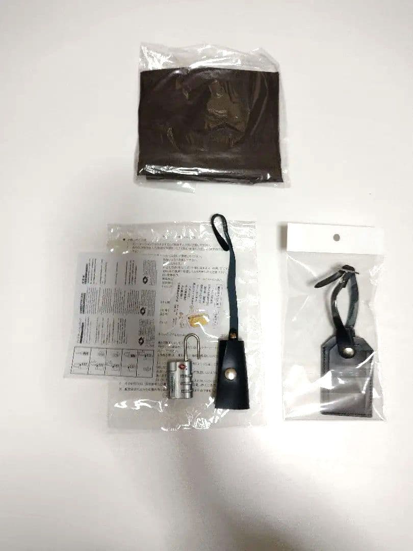 GHERARDINI　ゲラルディーニ　キャリーバッグ　ブラック　タグ付　バッグ