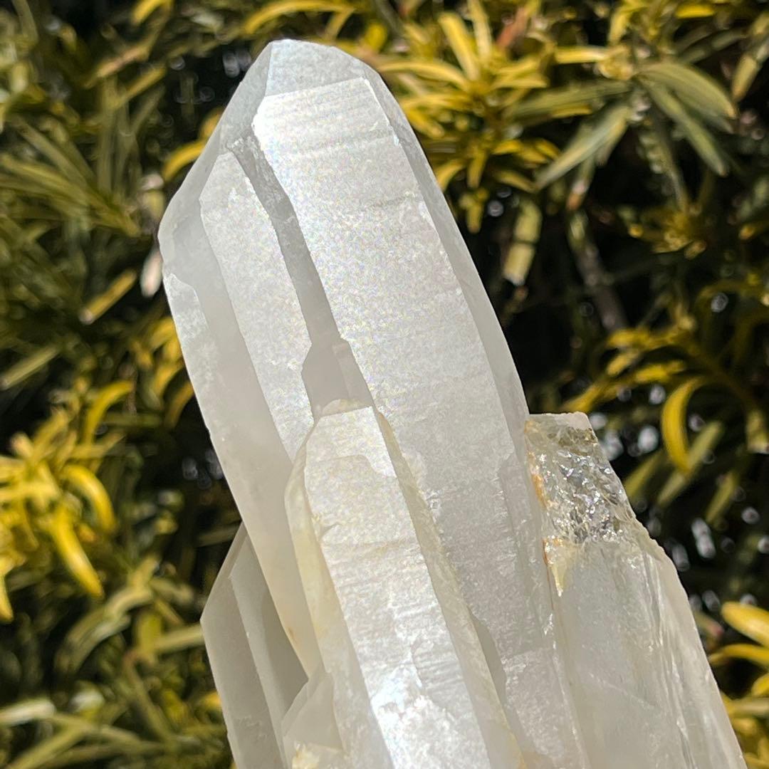 ✨大型ハイパワー水晶✨逸品 レムリアンシード 水晶クラスター 天然石 原石