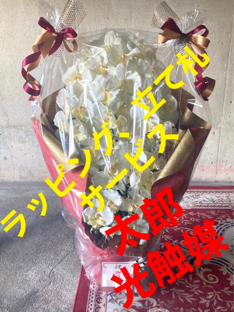 光触媒　人工観葉植物　ウォールグリーン　フェイクグリーン　胡蝶蘭１０本立て札付