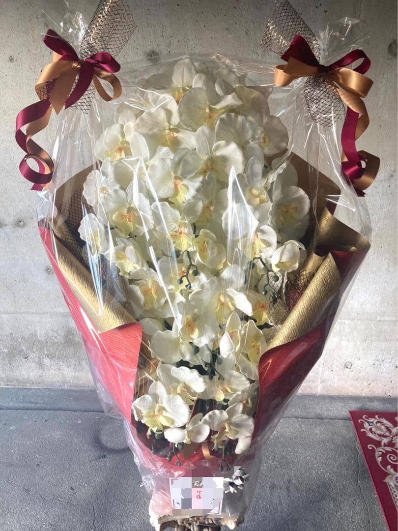 光触媒　人工観葉植物　ウォールグリーン　フェイクグリーン　胡蝶蘭１０本立て札付