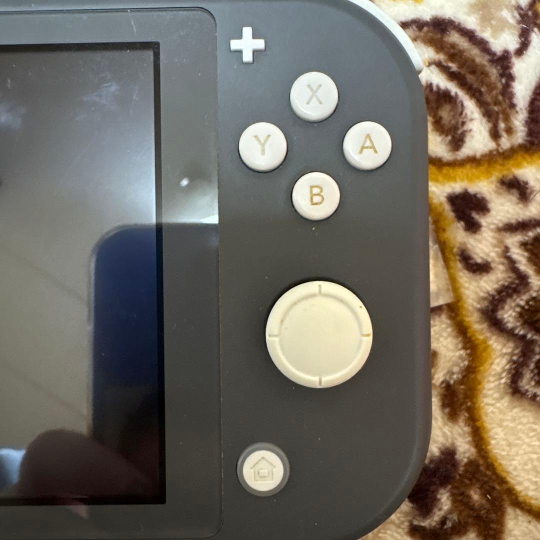 Switch Lite 本体+充電器