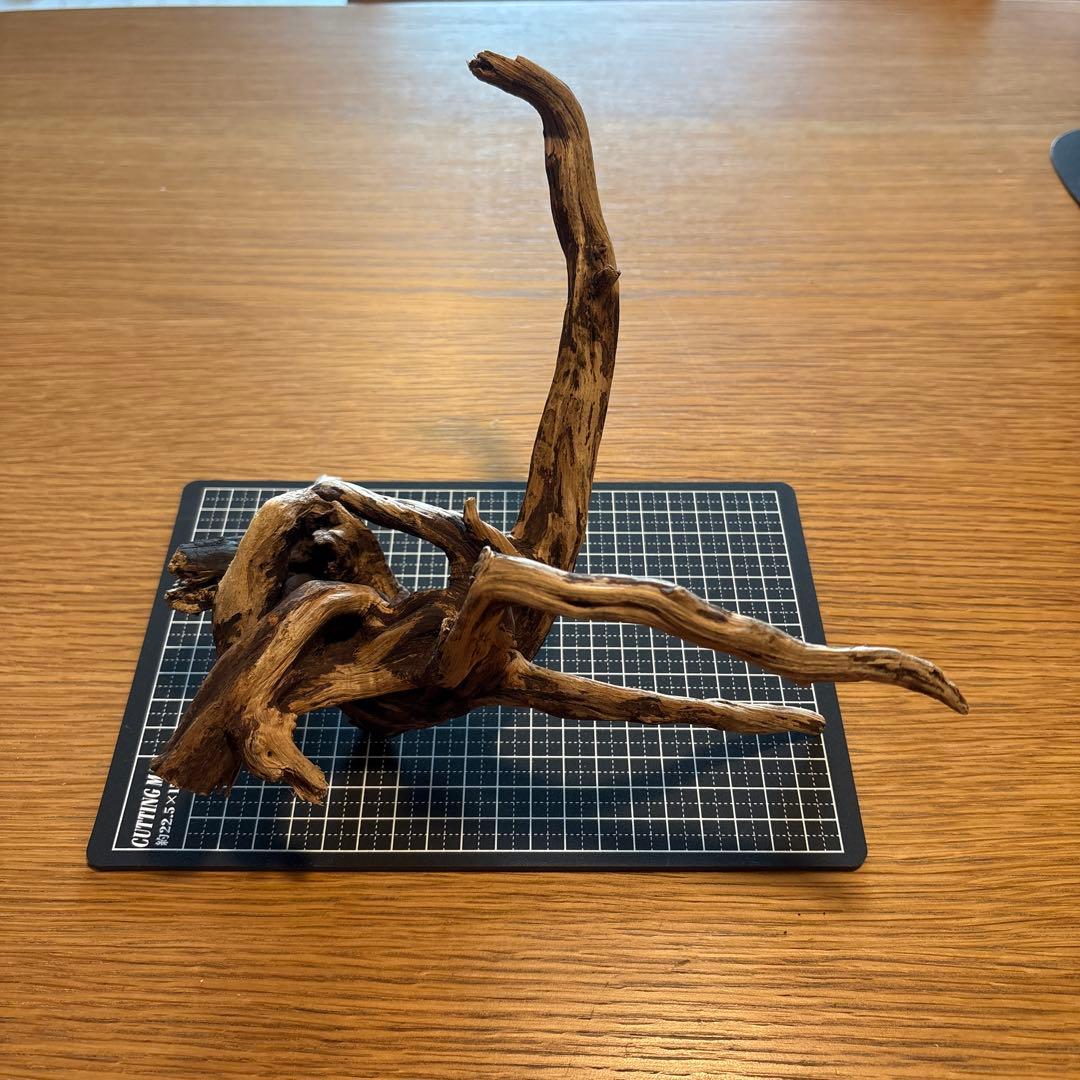 ADA 流木 まとめ買い2点以上で1600円／個 - メルカリ