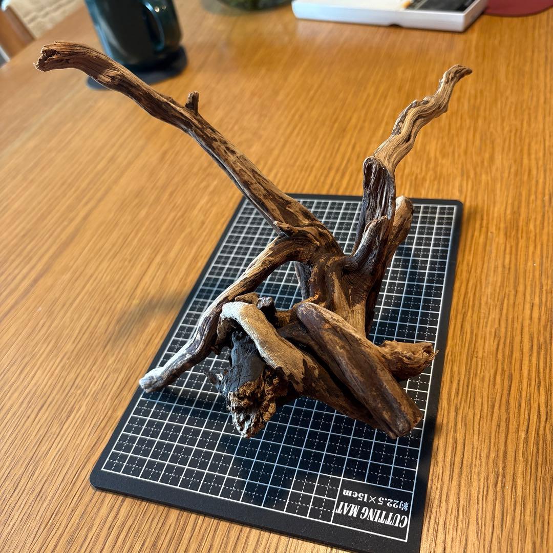 ADA 流木 まとめ買い2点以上で1600円／個 - メルカリ