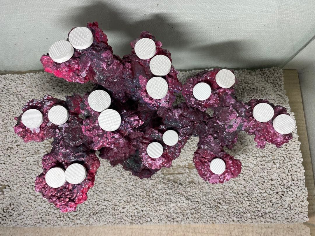 【送料無料】人工ライブロック　PHR24／18穴加工　アク抜き済み安心塗料使用