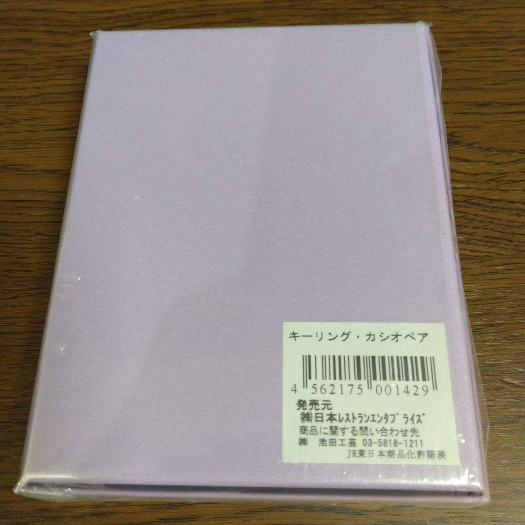 Cassiopeia カシオペア 1999年 車内グッズ