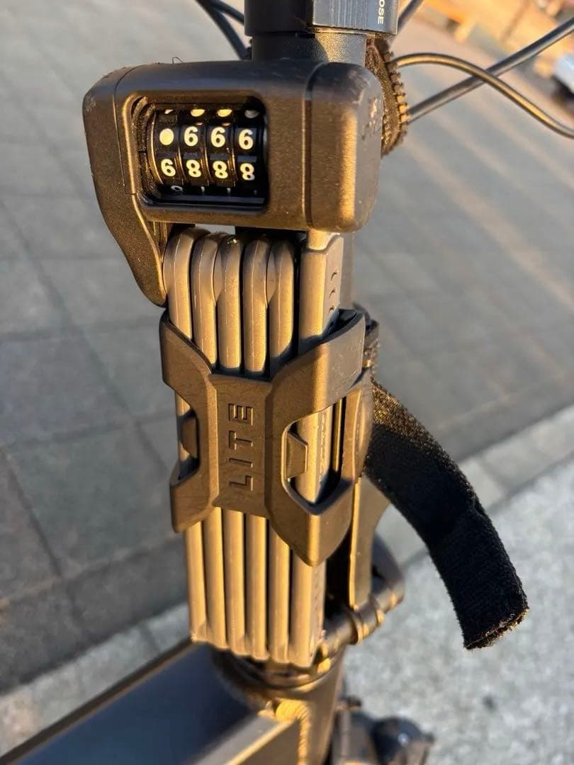 MATE X カスタム多数　電動アシスト　ブラック