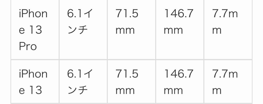 BOTTEGA VENETA iPhone13Proケース 即日発送