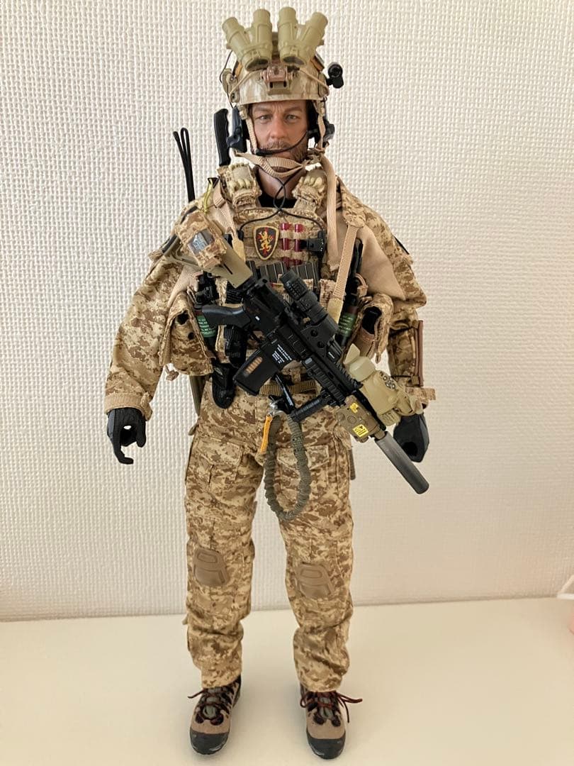 DAMTOYS 1/6 DEVGRU ネプチューン・スピア作戦 ジェロニモ - メルカリ