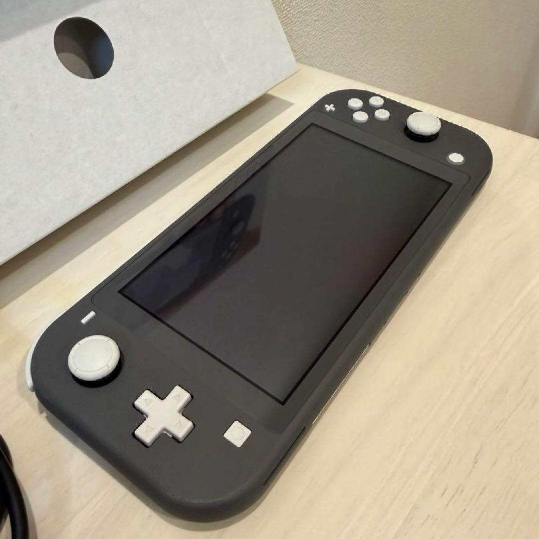 Nintendo Switch Lite グレー 本体 充電器・箱付き