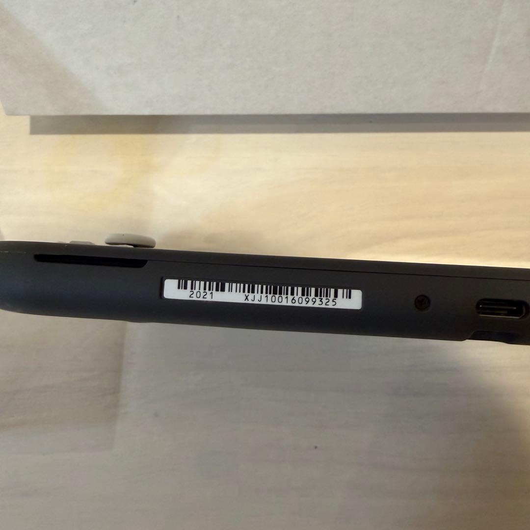 Nintendo Switch Lite グレー 本体 充電器・箱付き