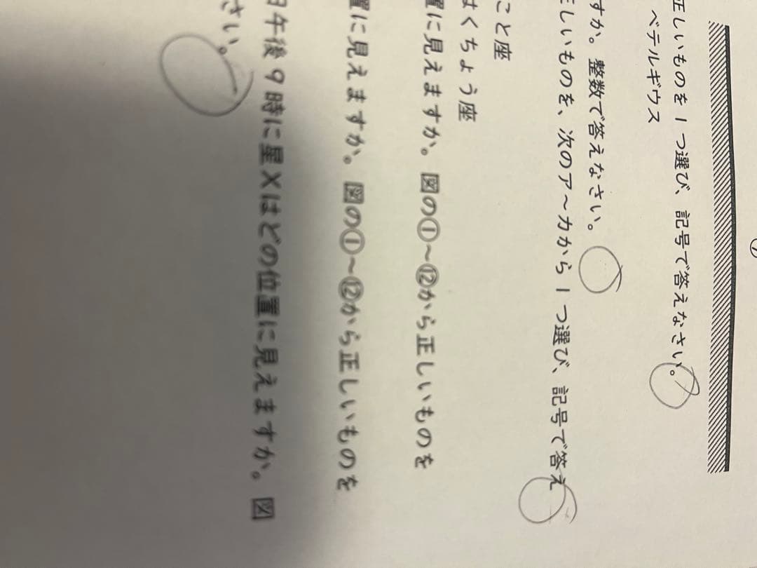 能開センター2023年度 小学6年実力判定模試 中学受験 解答&解説
