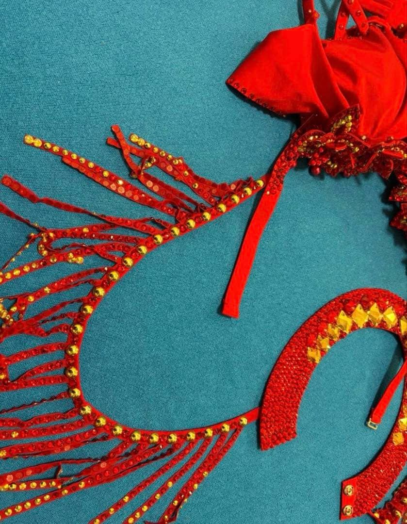 ♡期間限定♡ ベリーダンス be sparkly 衣装 赤 3D 花 