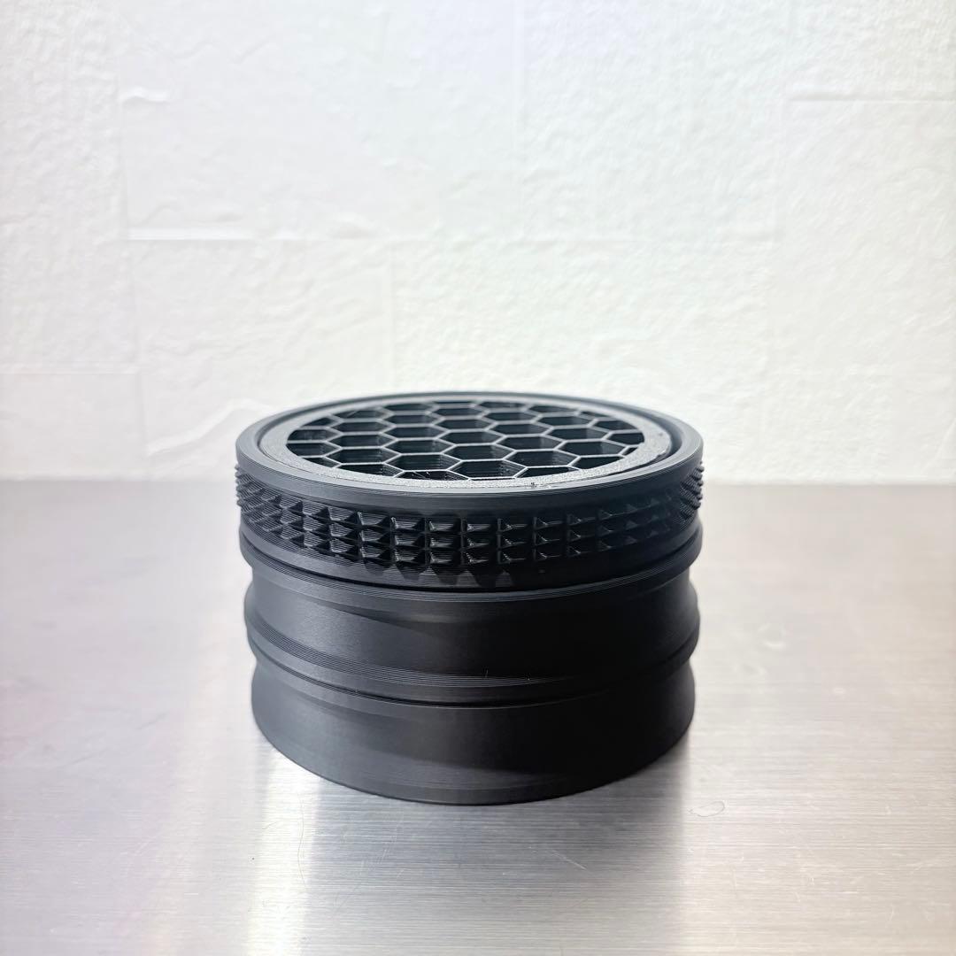 ホリダ グラキリス