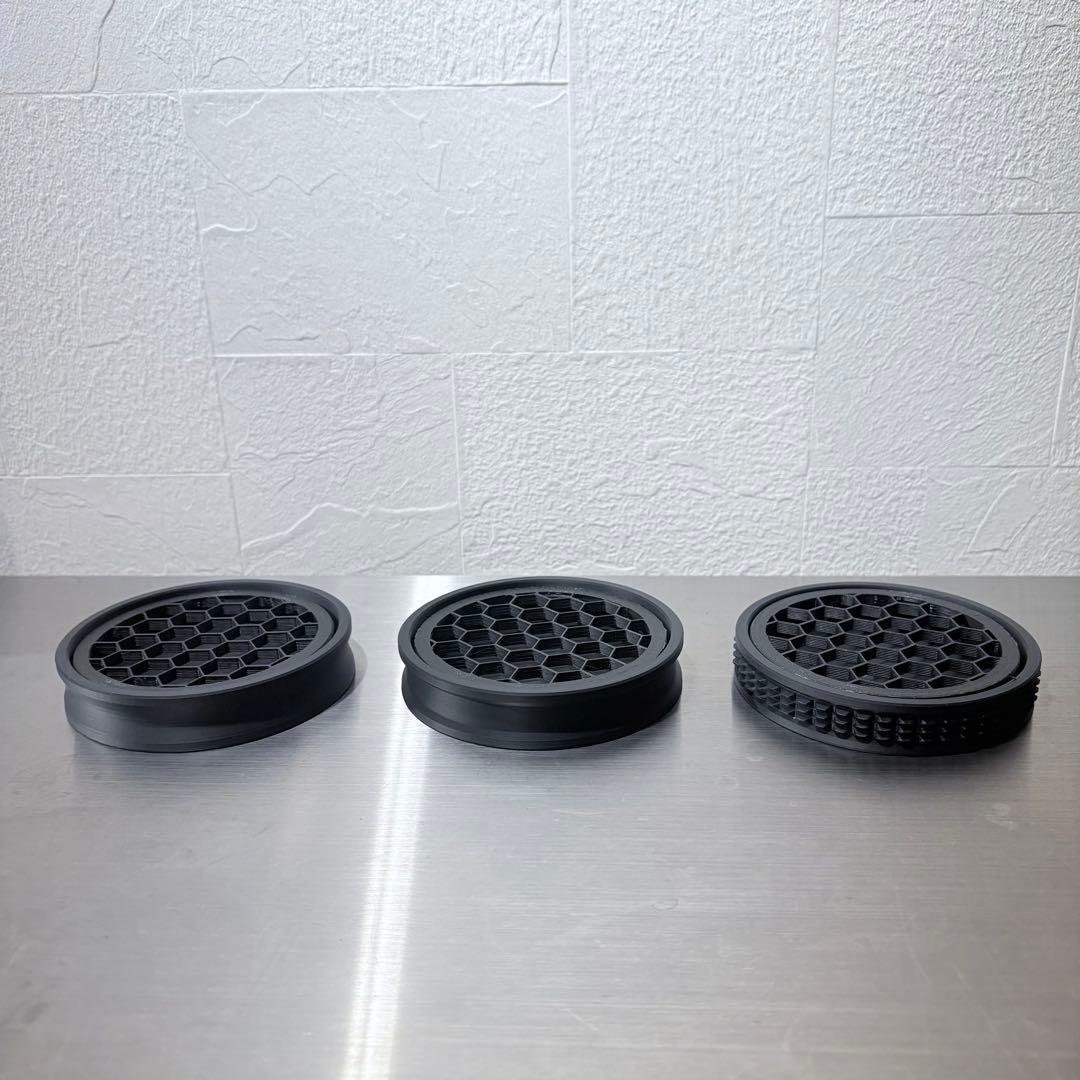 ホリダ グラキリス