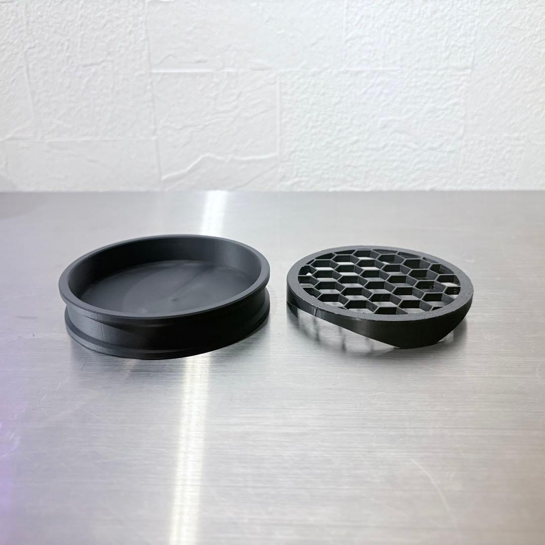 ホリダ グラキリス