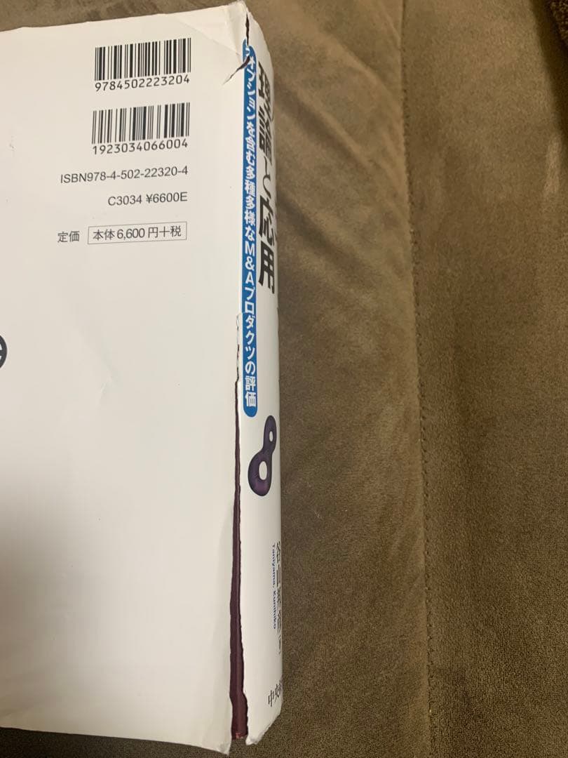 バリュエーションの理論と応用